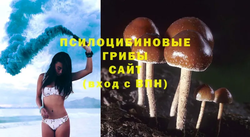 гидра ССЫЛКА  Катав-Ивановск  Галлюциногенные грибы MAGIC MUSHROOMS 